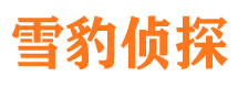 偏关外遇调查取证